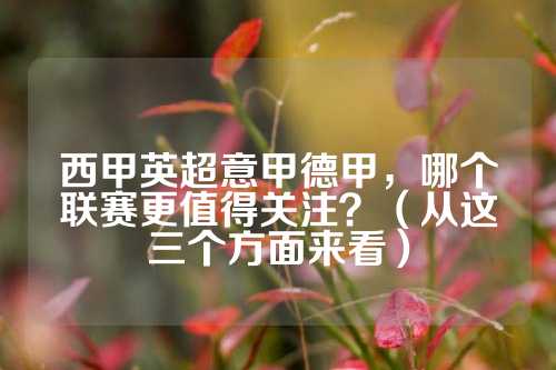 机会与风险