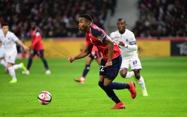 对现有阵容 对现有阵容