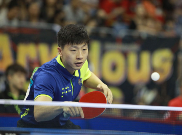 由此看来 由此看来