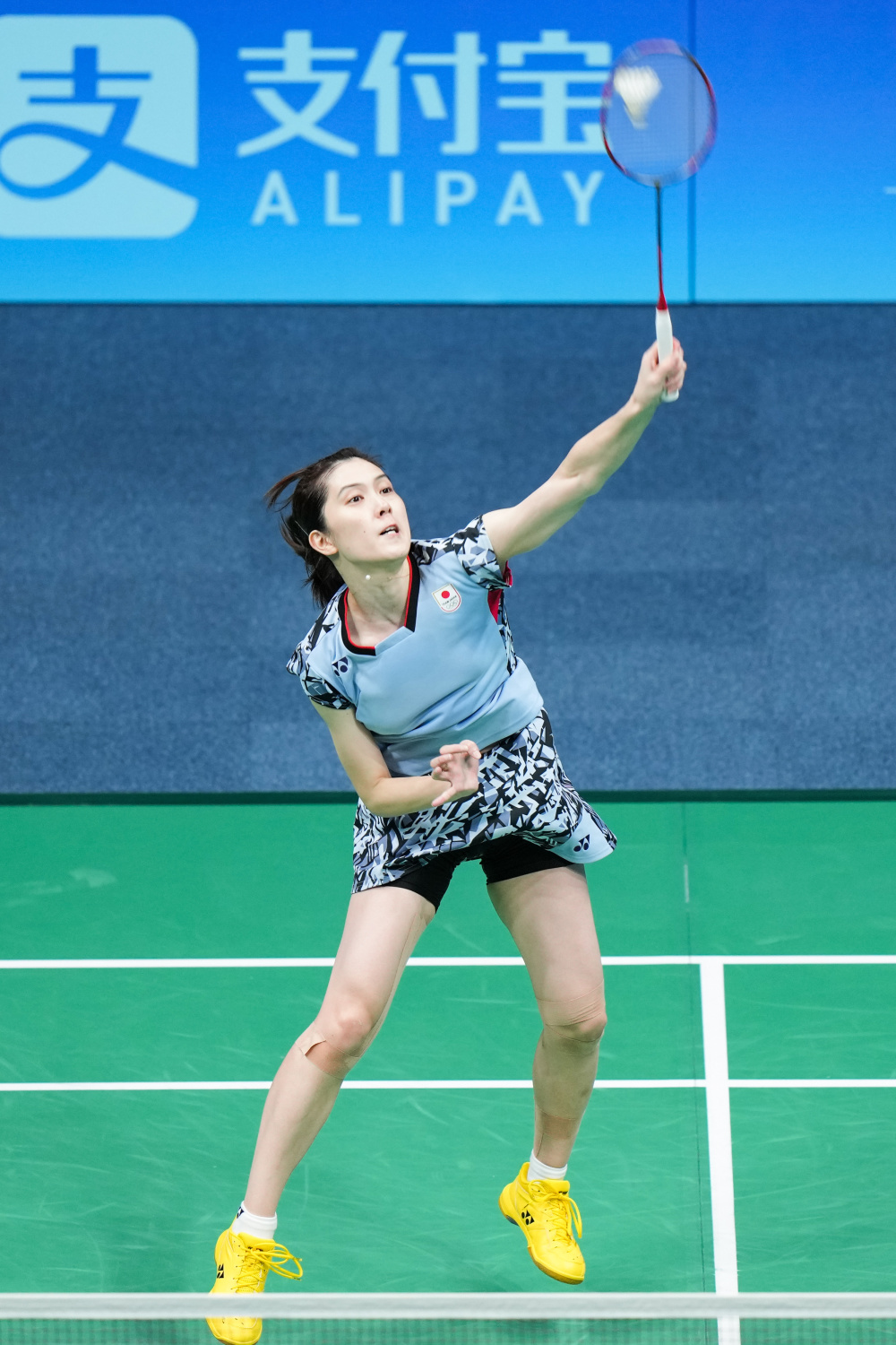 供了额外的 供了额外的